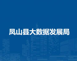 凤山县大数据发展局"