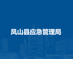 凤山县应急管理局