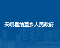 天峨县纳直乡人民政府