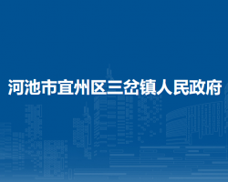 河池市宜州区三岔镇人民政府