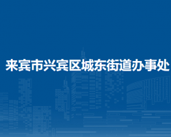 来宾市兴宾区城东街道办事处