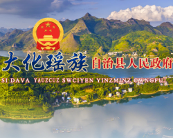 大化县人民政府"