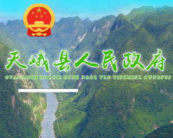 天峨县人民政府"