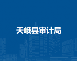 天峨县审计局默认相册