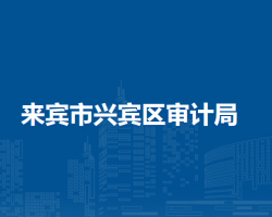 来宾市兴宾区审计局