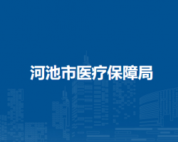 河池市医疗保障局
