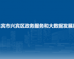 来宾市兴宾区政务服务和大数据发展局