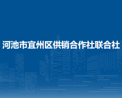 河池市宜州区供销合作社联