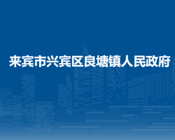 来宾市兴宾区良塘镇人民政府