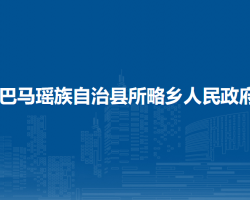 巴马瑶族自治县所略乡人民政府