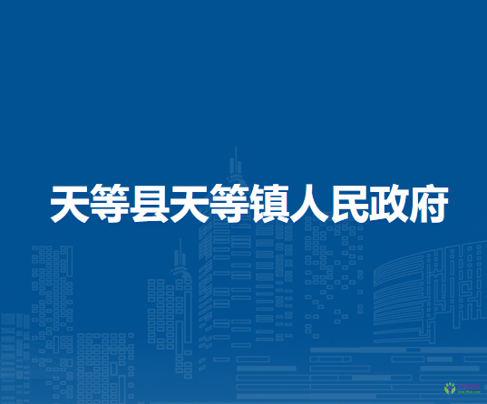 天等县天等镇人民政府