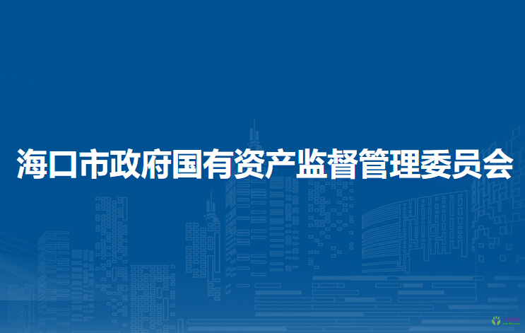 海口市政府国有资产监督管理委员会