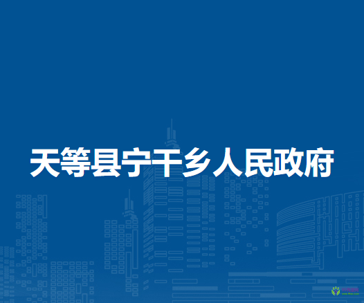 天等县宁干乡人民政府