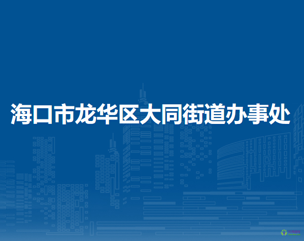 海口市龙华区大同街道办事处