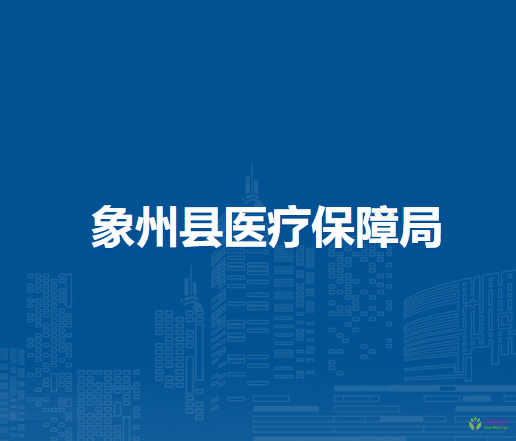 象州县医疗保障局