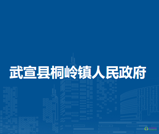 武宣县桐岭镇人民政府