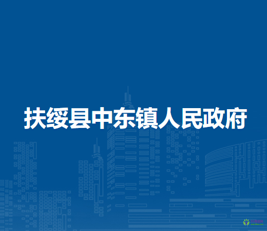扶绥县中东镇人民政府