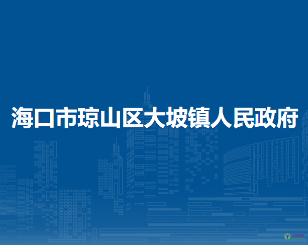 海口市琼山区大坡镇人民政府