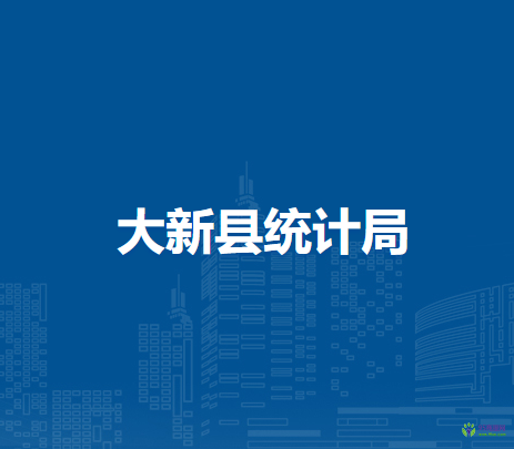 大新县统计局