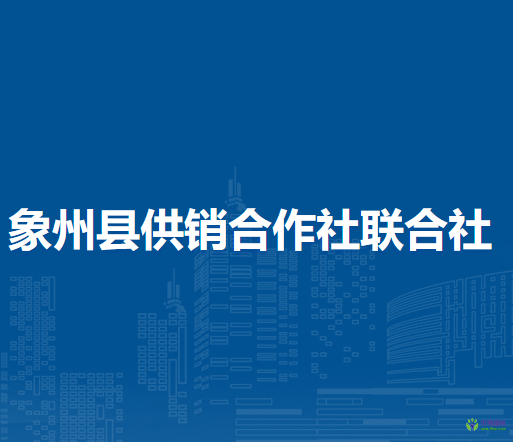 象州县供销合作社联合社