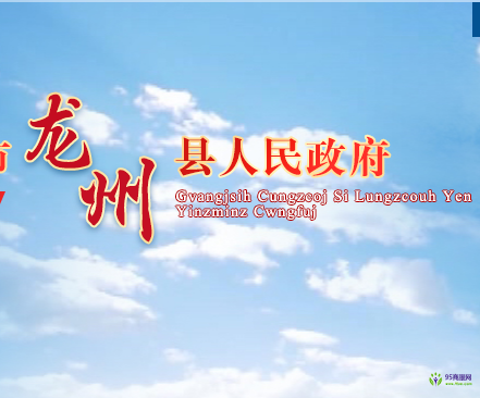 龙州县人民政府