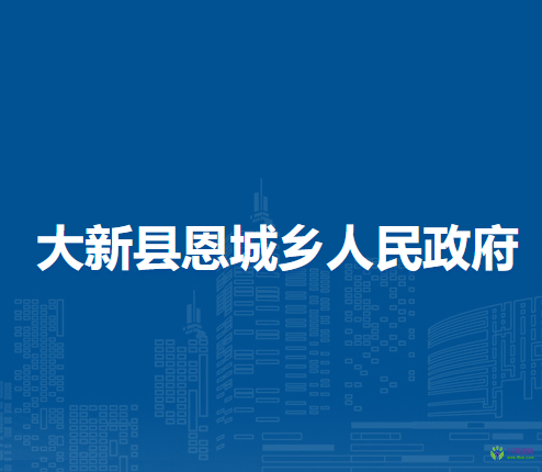 大新县恩城乡人民政府