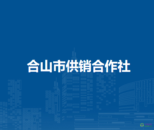 合山市供销合作社