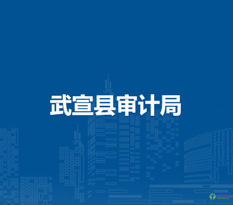 武宣县审计局