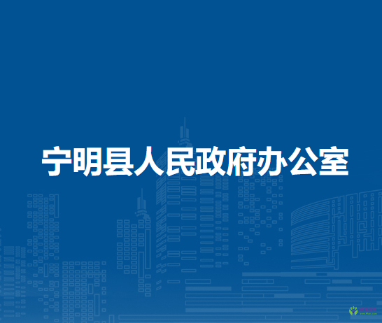 宁明县人民政府办公室