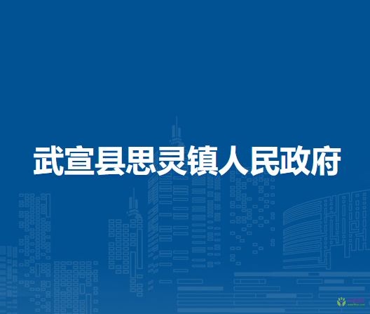 武宣县思灵镇人民政府