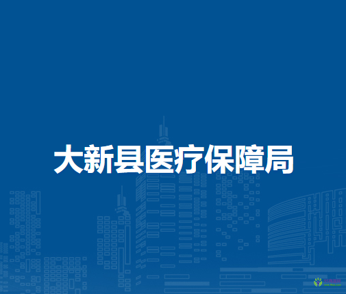 大新县医疗保障局