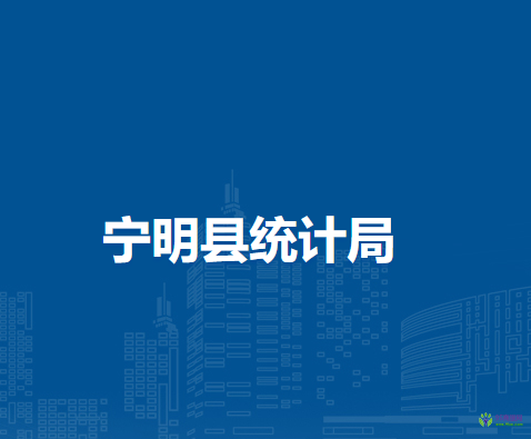 宁明县统计局