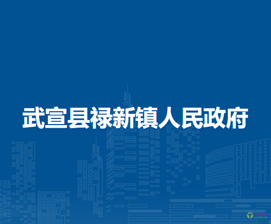 武宣县禄新镇人民政府