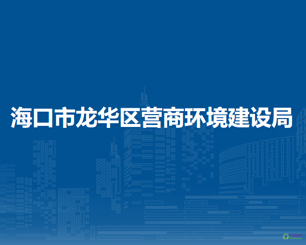 海口市龙华区营商环境建设局