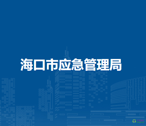 海口市应急管理局