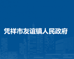 凭祥市友谊镇人民政府