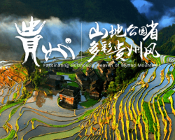 贵州省人民政府