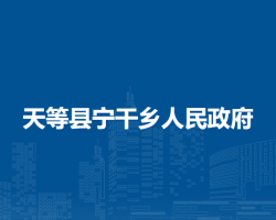 天等县宁干乡人民政府