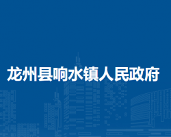 龙州县响水镇人民政府