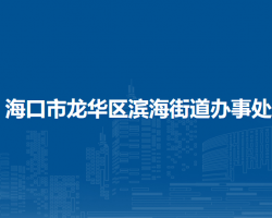 海口市龙华区滨海街道办事处