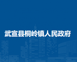 武宣县桐岭镇人民政府