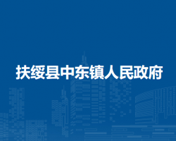 扶绥县中东镇人民政府
