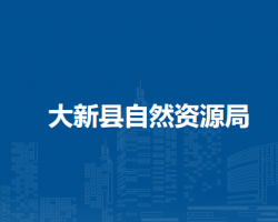 大新县自然资源局