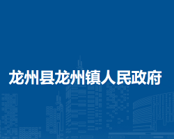 龙州县龙州镇人民政府