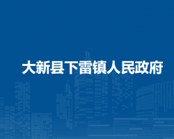 大新县下雷镇人民政府