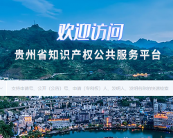 贵州省 知识产权公共服务平台入口