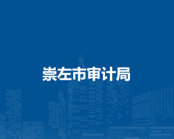 崇左市审计局