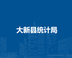 大新县统计局