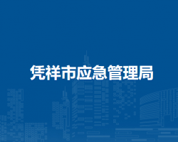 凭祥市应急管理局