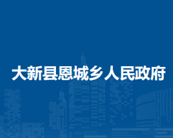 大新县恩城乡人民政府